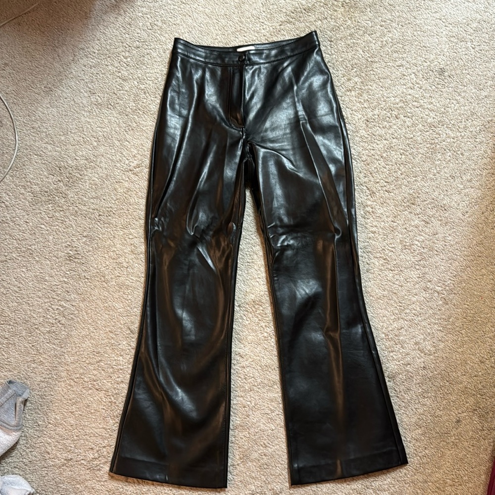 Aritzia leather pants